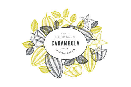 Hand drawn sketch style carambola banner. Organic fresh fruit vector illustration. Retro fruit design templateのイラスト素材
