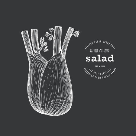 Vintage Style Chalk Board Fennel Illustration. Green Vegetable Illustration. Vector Hand Drawn Salad.のイラスト素材
