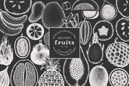 Tropical Fruit Design Template. Vector Hand Drawn Exotic Fruit Chalk Board illustration. Vintage Style Menu Illustration.のイラスト素材