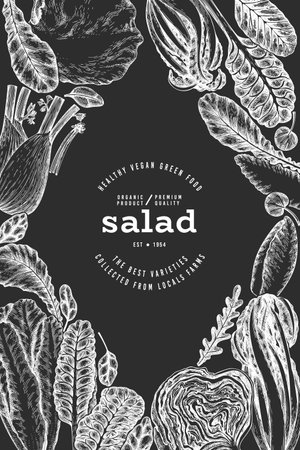Green Vegetable Design Template. Vector Hand Drawn Healthy Leaf Salad Banner. Vintage Style Menu IllustrationOn Chalk Board.のイラスト素材
