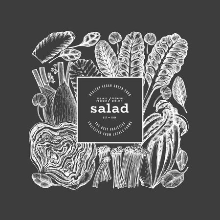 Green Vegetable Design Template. Vector Hand Drawn Healthy Leaf Salad Banner. Vintage Style Menu IllustrationOn Chalk Board.のイラスト素材