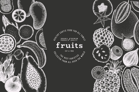 Tropical Fruit Design Template. Vector Hand Drawn Exotic Fruit Chalk Board illustration. Vintage Style Menu Illustration.のイラスト素材