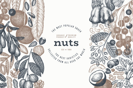 Hand Drawn Nuts Branch And Kernels Template. Organic Seed Vector Design. Retro Nut Illustration. Engraved Style Botanical Banner.のイラスト素材