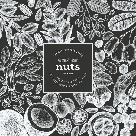Hand Drawn Nuts Branch And Kernels Template. Organic Seed Vector Design. Retro Chalk Board Nut Illustration.のイラスト素材