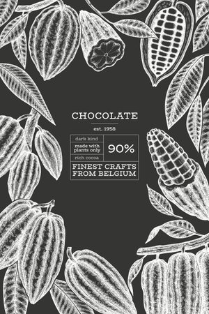 Cocoa design template. Chocolate cocoa beans background. Vector hand drawn illustration on chalk board. Vintage style illustration.のイラスト素材