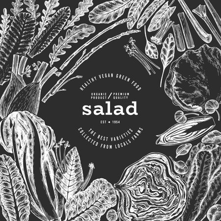 Green Vegetable Design Template. Vector Hand Drawn Healthy Leaf Salad Banner. Vintage Style Menu IllustrationOn Chalk Board.のイラスト素材