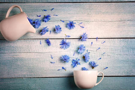 Chicory flowers from a jug are poured into a cup on a wooden background. The concept of health, summer.の写真素材