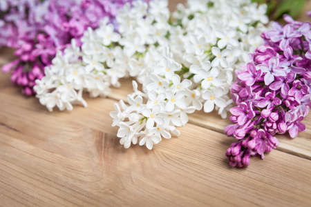 Lilac flowers on wooden background. Pattern. Frame.の写真素材