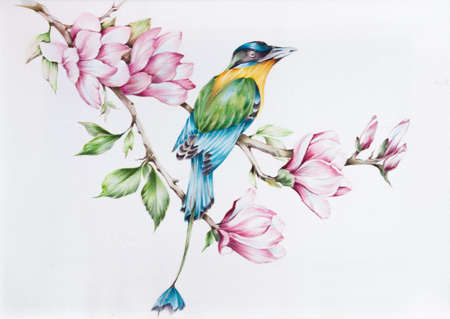 Pattern. Hand-drawn batik silk flowers and leaves with bird on a white background.の写真素材