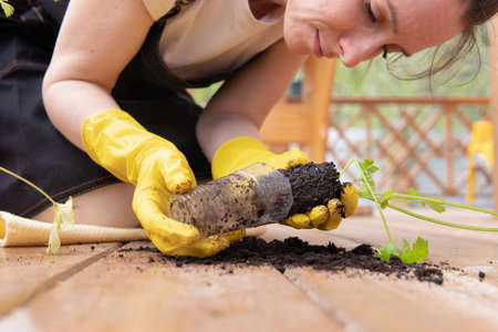 A woman dropped seedlings on the floor in the garden.の写真素材