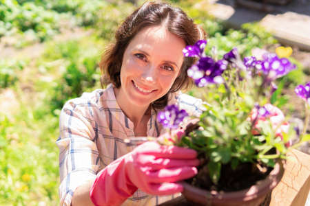 A woman is planting plants and flowers in her backyard.の写真素材
