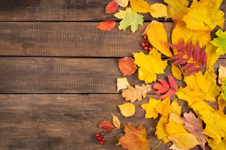 Autumn maple leaves on wooden table.Falling leaves natural background.