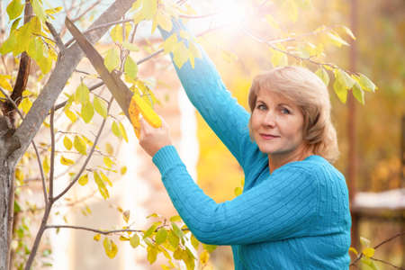 A woman in the autumn garden harvests and removes garbage.の写真素材