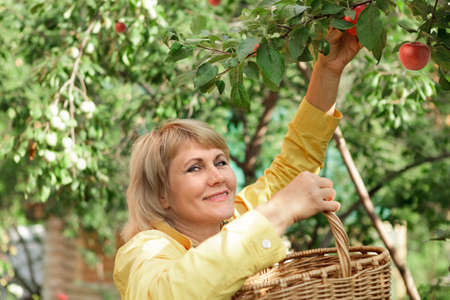 Woman in kitchen garden harvests fruits and vegetablesの写真素材