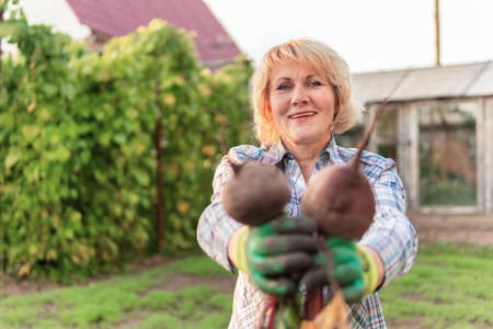 Woman with fresh vegetables in a basket in the garden in autumn