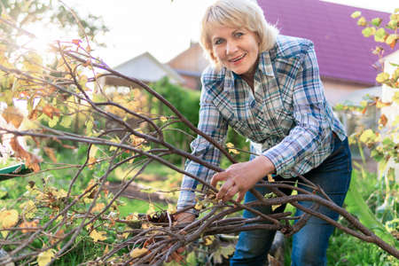 Woman with fresh vegetables in a basket in the garden in autumn