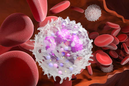 Leukocyte white blood cells inside a human vein. . 3d render.