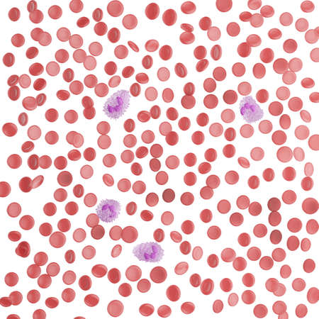 Leukocyte. white blood cells. Protection against viruses and bacteria. The concept of science and medicine. View of neutrophils under the microscope. 3d rendering.の写真素材