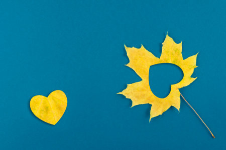 Autumn maple leaves on wooden table.Falling leaves natural background.の写真素材