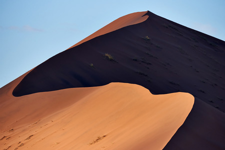Very high red sand dune in the Namib Desertの写真素材