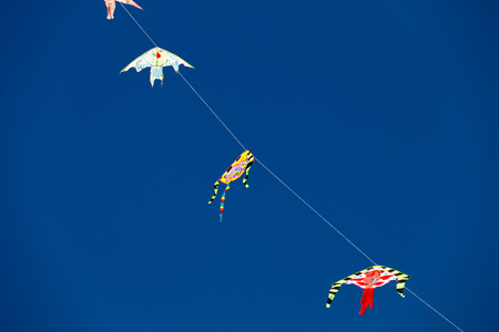 Blue sky & kiteの写真素材