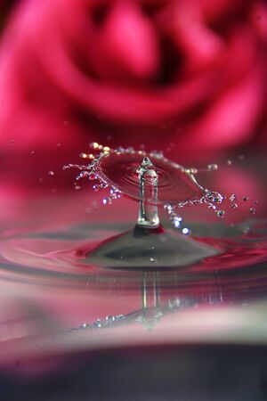 What two drops only can makeのeditorial素材