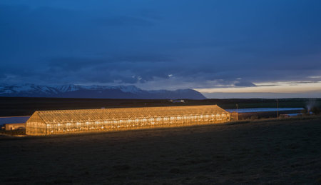 one of the greenhouses of icelandの写真素材