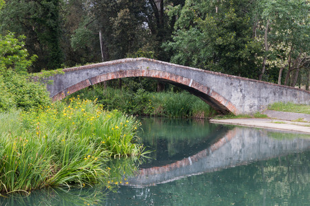 Marina di Pietrasanta old Prince's bridge over Fiumetto river in Versiliana Park. Beautiful blooming of yellow iris on the left bankの写真素材