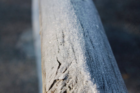 fence iceの写真素材