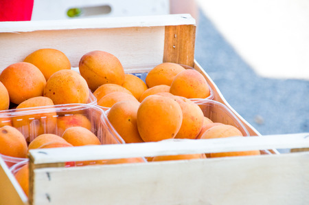 apricot marketの写真素材