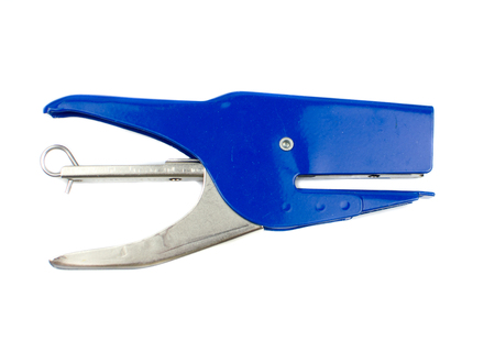 blue stapler isolated white backgroundの写真素材
