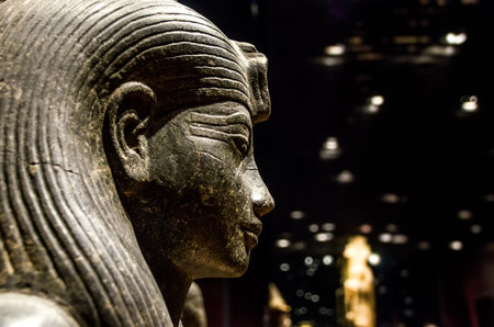 Turin, Italy, March 8 2013: profile of an egyptian sphinx statue at he Turin's Egypt Museumのeditorial素材