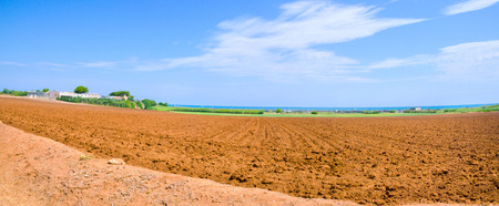 cultivated field of typical red soil of Apulia or "Terra Rossa di Puglia" in Italyの写真素材