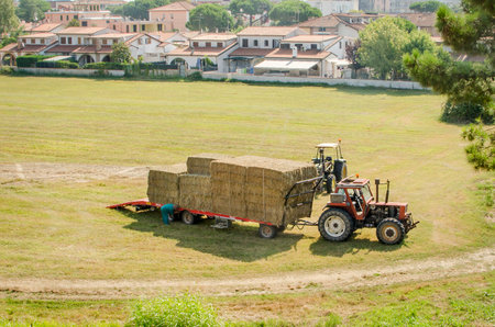 Ferrara, Italy, August 9 2016: hay harvest fastening and transport with a tractorのeditorial素材