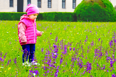 child pick purple flowers baby girlの写真素材