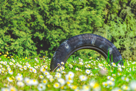 summer tire background tread worn natureの写真素材