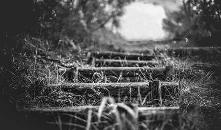 steps in the nature country trail landscapes black and white background horizontal