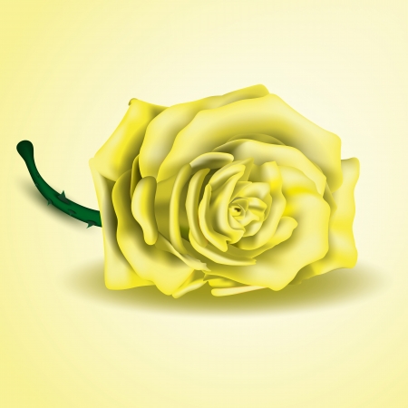 Yellow rose flower as close upのイラスト素材