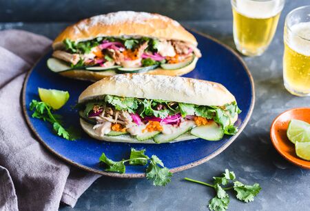 pulled pork vietnamese sandwich with  pickled onion, cucumber, carrot and sriracha sauce on a gray surface.の写真素材