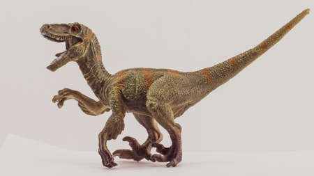 dinosaur plastic toy model on white backgroundの写真素材