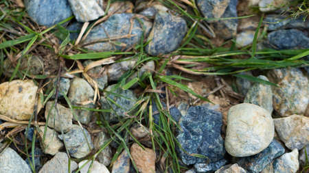 scattered colored stone with grass, wallpaperの写真素材