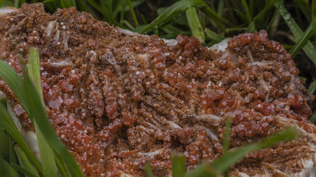 Sample of vanadinite in the grass of the garden