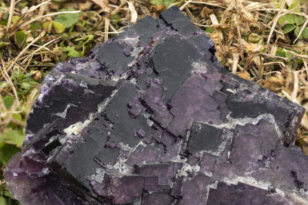 violet fluorite , mineral specimen, stone rock, geology cubic crystalsの写真素材