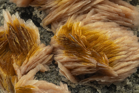 barite mineral specimen, collectible mineralの写真素材