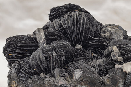 Captivating mineral collection: transparent quartz and contrasting dark calcite crystals on matrix against light backgroundの写真素材