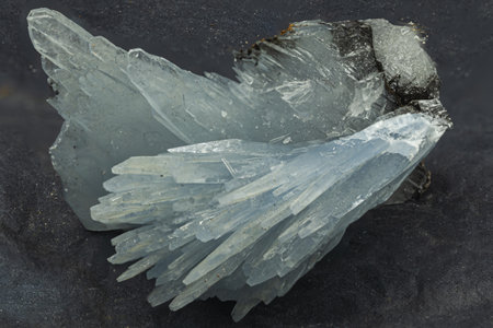 Macro shot of barite crystal formation with translucent blades on dark backgroundの写真素材