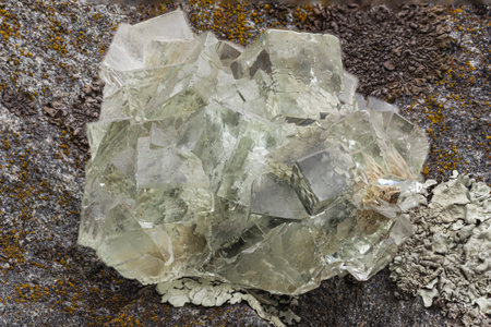 Cluster of pale green fluorite crystals with intricate cubic structures on dark matrix