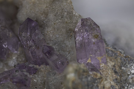 Vivid purple amethyst quartz crystals embedded in a rocky matrix. Excellent macro photo for...