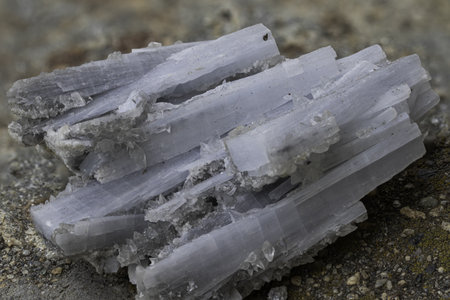 Macro shot of natural cyanite mineral showing parallel, elongated crystals with a distinctive fibrous structure and pale blue-gray color, perfect for geology, science, or educational media purposesの写真素材