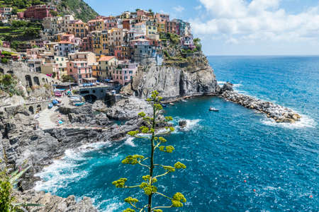 Aerial view of Manarola in Cinque Terre with an agave in the foregroundの写真素材